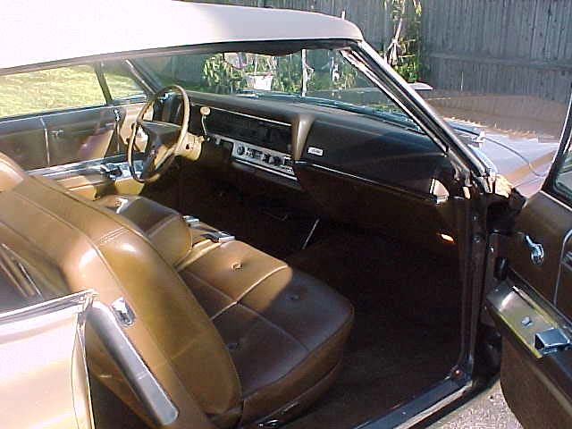 Brown Interior