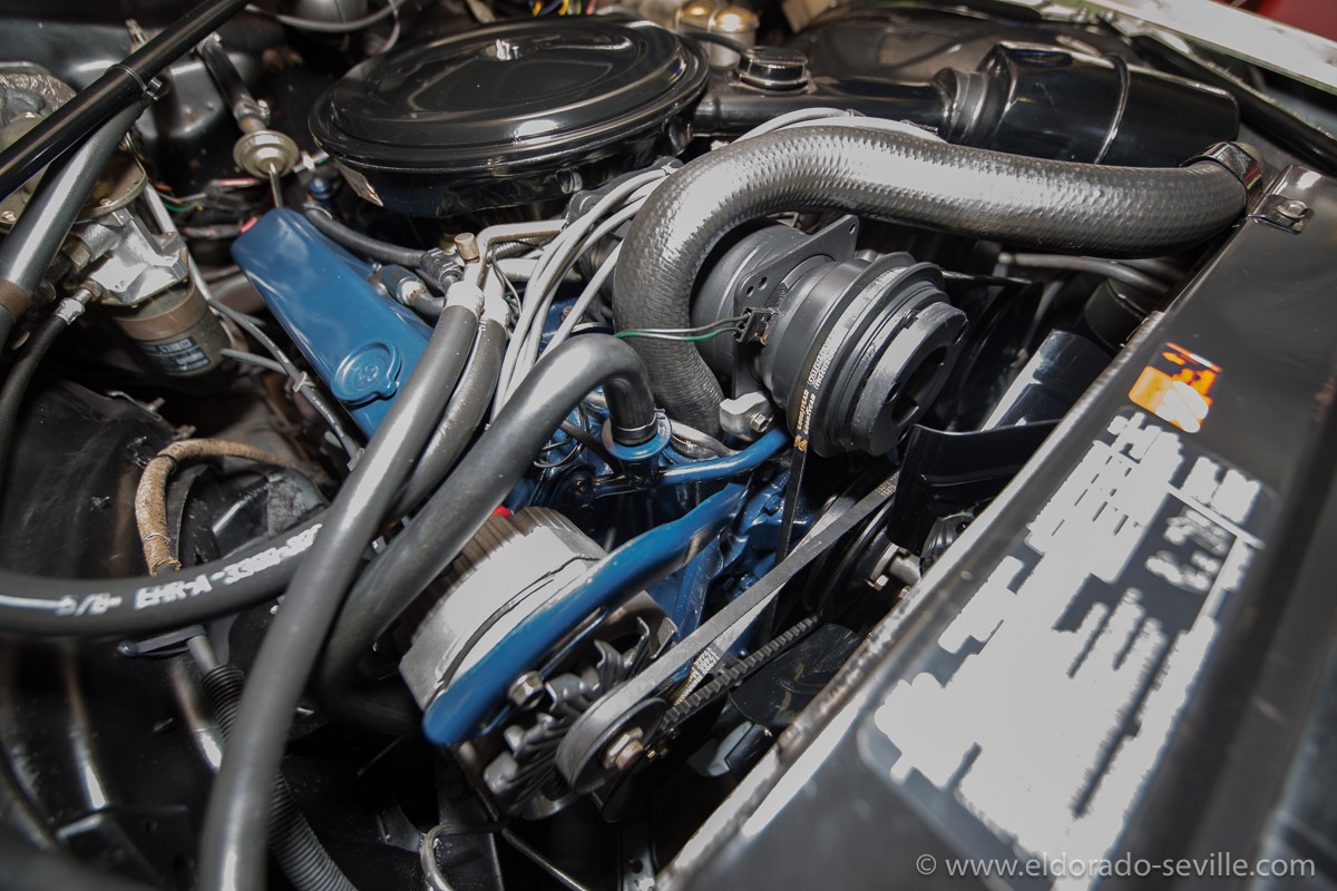 The finished engine bay