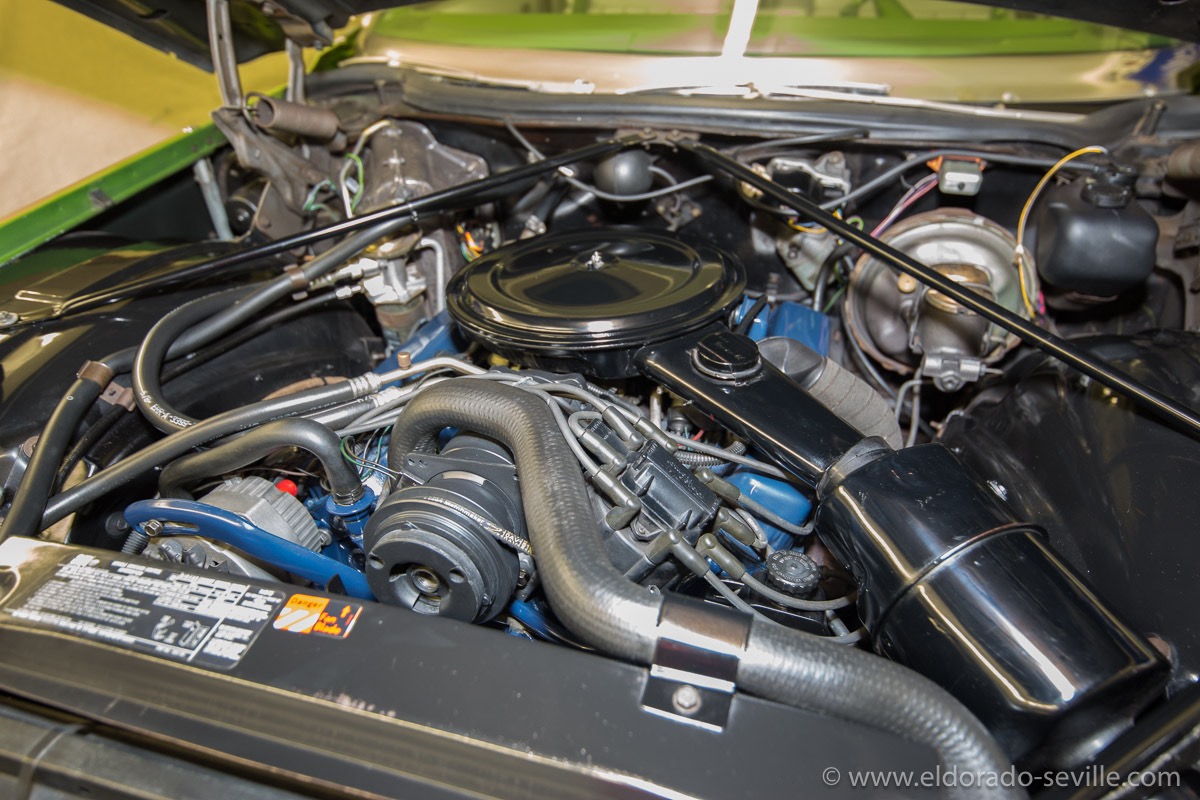 The finished engine bay