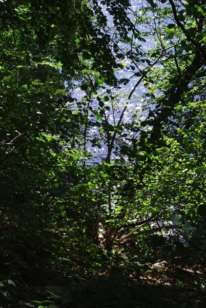Loading Image