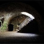 _DSC0030