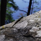 _DSC0059