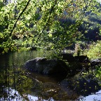 _DSC0069