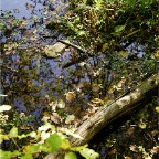 _DSC0070