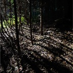 _DSC0087