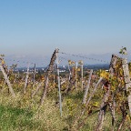 _DSC0017