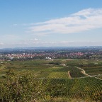 _DSC0045