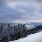 _DSC0014