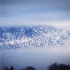 _DSC0018