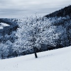 _DSC0024