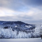 _DSC0025