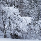 _DSC0026