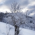 _DSC0028
