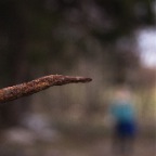 DSC_0043