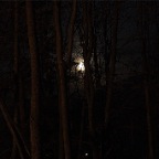 _DSC0091