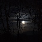 _DSC0100
