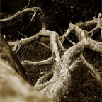 IMG_6896