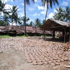 _DSC0023 lay