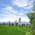 _DSC0029 lay