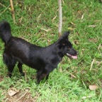 _DSC0043 lay