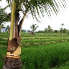 _DSC0059 lay