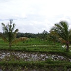 _DSC0064 lay
