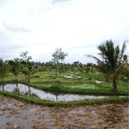 _DSC0069 lay