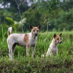 _DSC0082 lay
