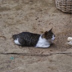 _DSC0084 lay