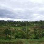 _DSC0108 lay