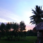 _DSC0147 lay