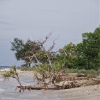 _DSC0527 lay