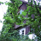 IMG_6840.JPG