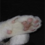 IMG_6805.JPG